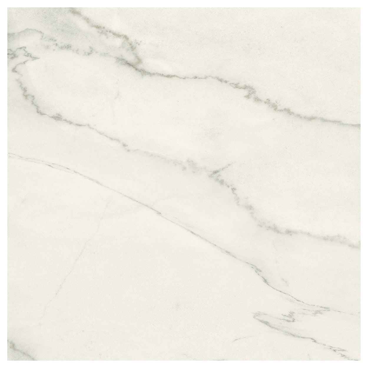 Eden HDN01 Calacatta Lincoln Rect. 24x24